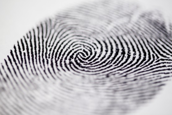 Fingerprint